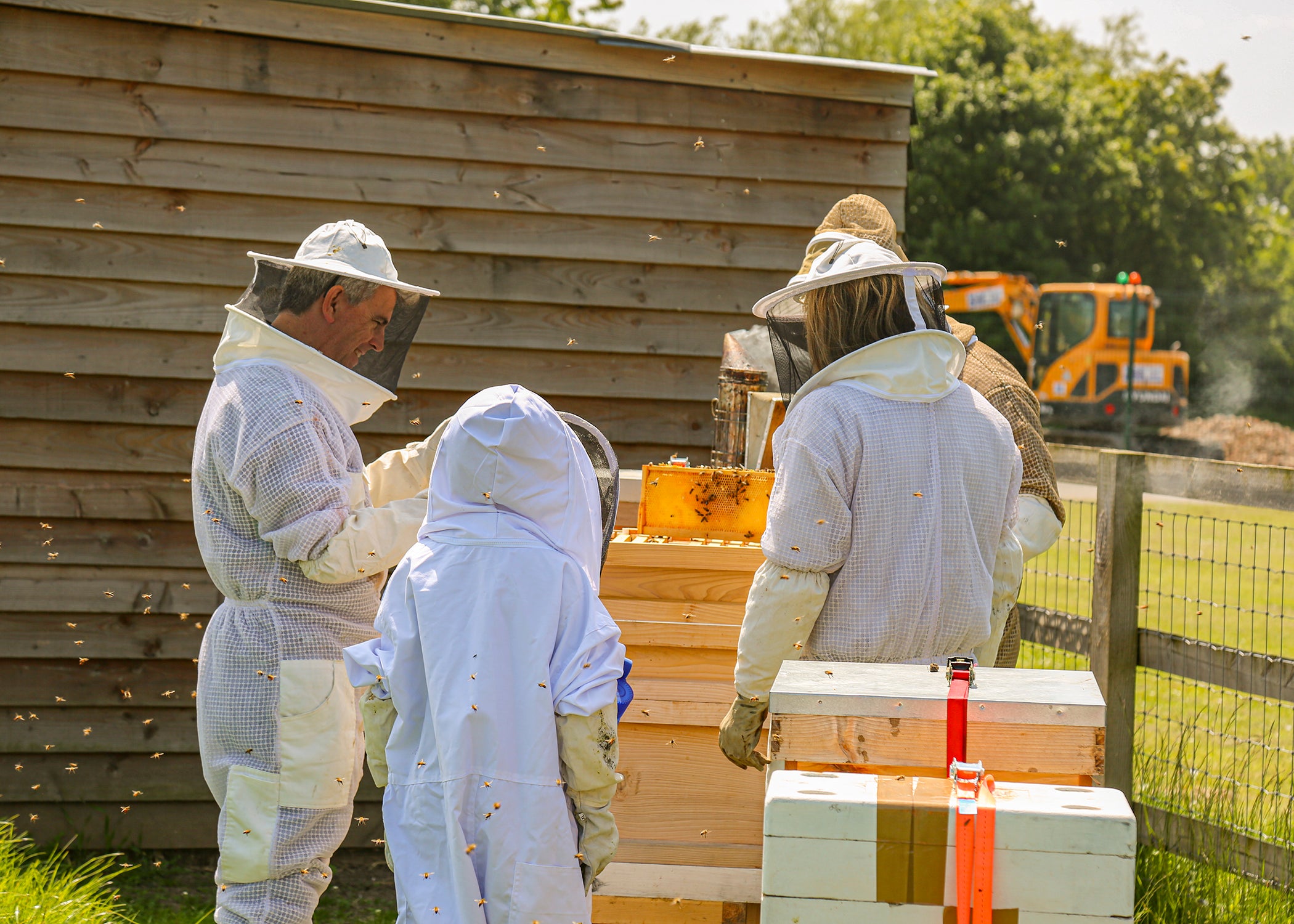 GIFT CARD - Parent & Child - Bee Keeping Experience - Essex
