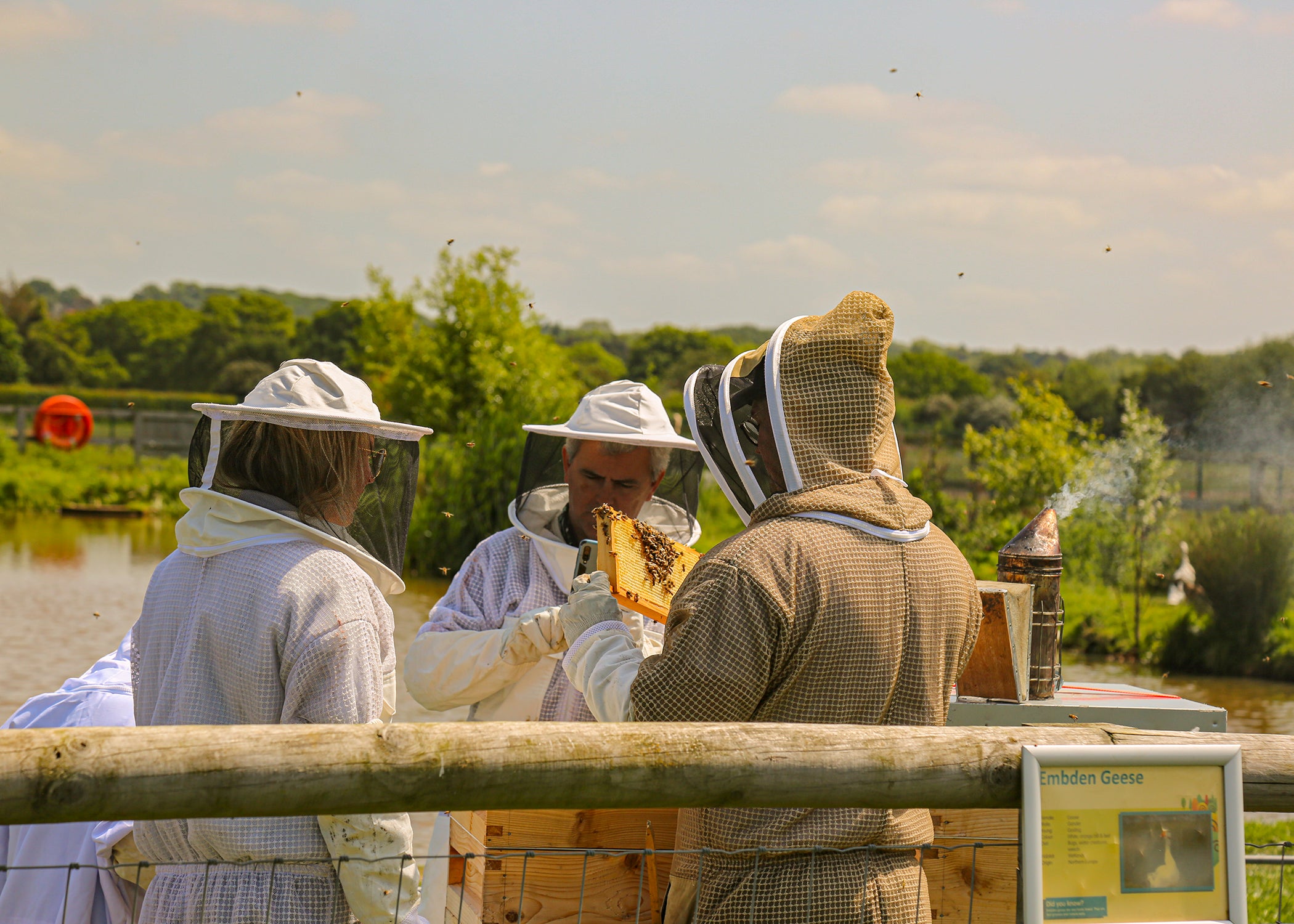 GIFT CARD - Parent & Child - Bee Keeping Experience - Essex