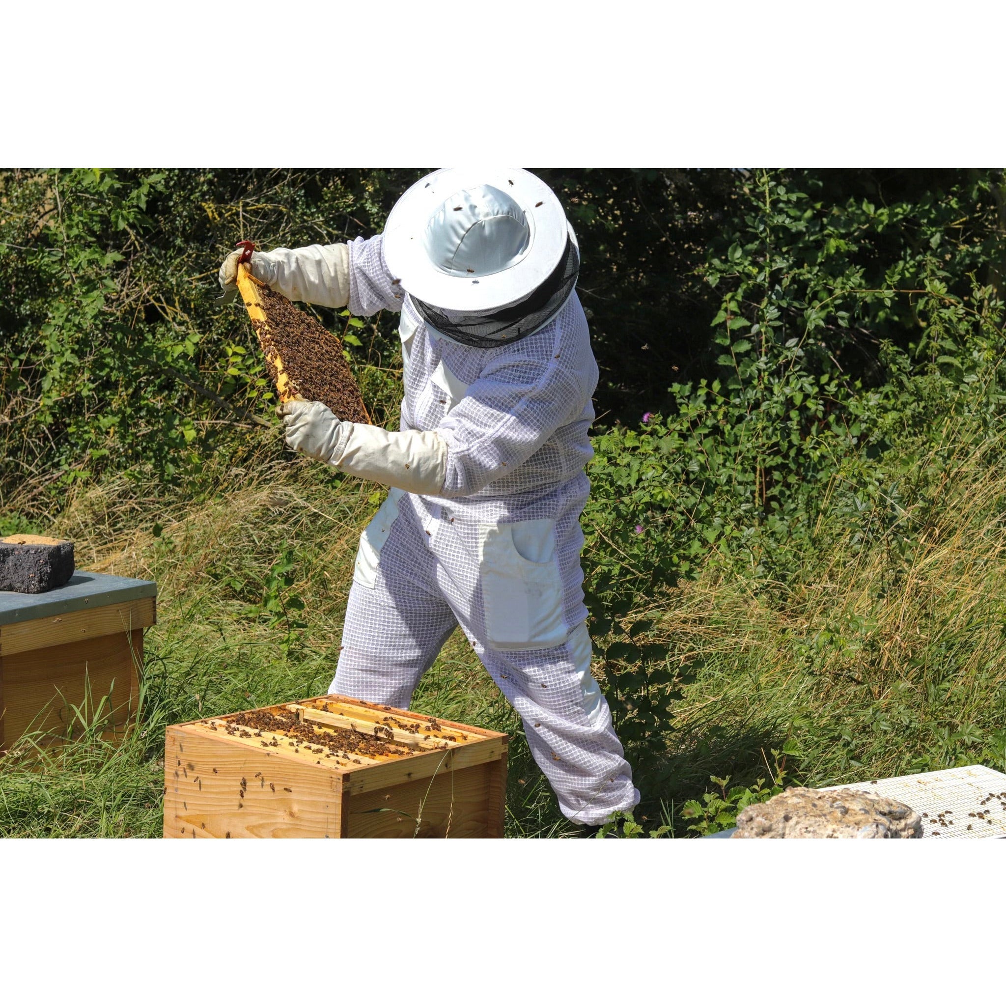 Parent & Child - Bee Keeping Experience - Essex